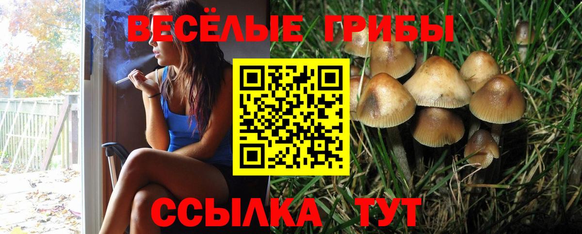 Галлюциногенные грибы ЛСД Коркино