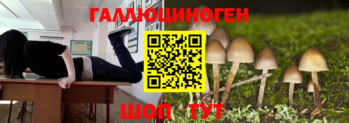 Псилоцибиновые грибы Magic Shrooms  закладка  Коркино  Вход с VPN 